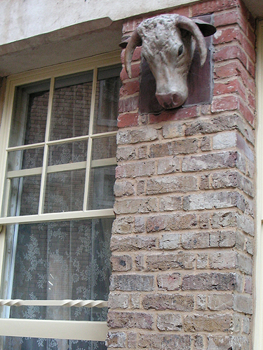 070608-g.jpg