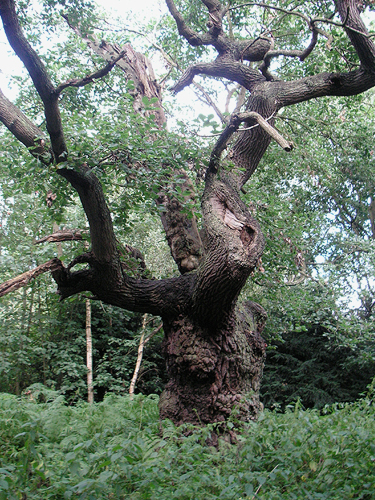 080308-a.jpg