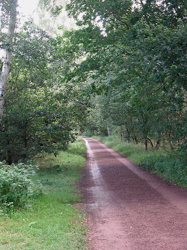 080308-b.jpg
