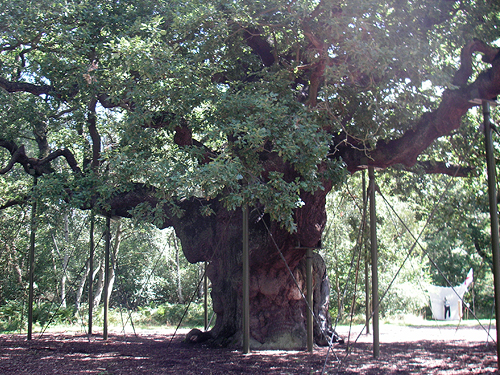 080308-f.jpg